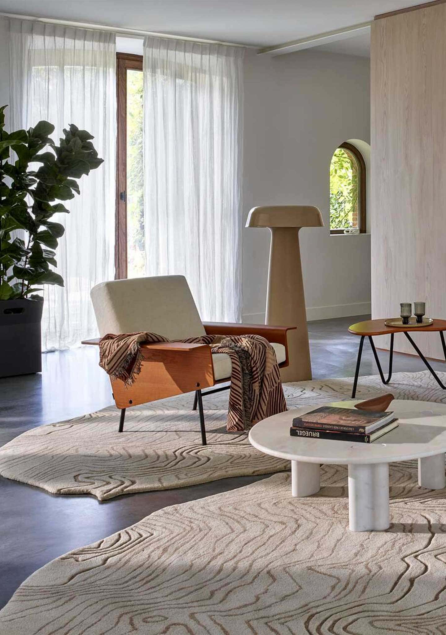 Ligne Roset: Shiitake Reading Lamp Ligne Roset: Shiitake Reading Lamp