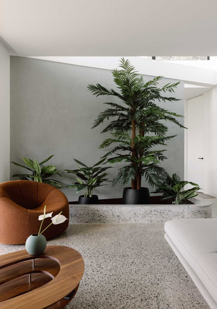 DOMO House on a Hill Melbourne interior design Enclave Architects indoor plant